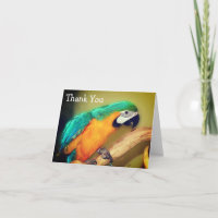 Blue Gold Macaw Parrot Malerei Danke Karte