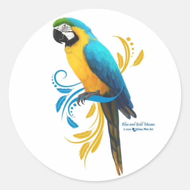 Blue-Gold-Macaw-Round-Aufkleber Runder Aufkleber (Vorderseite)