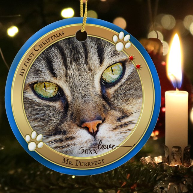 Blue Gold Niedlich Cat Foto Ornament (Von Creator hochgeladen)