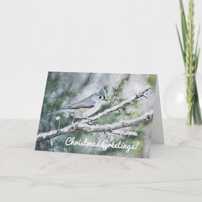 Blue Gray Bird im Schnee Weihnachtskarte Karte (Vorderseite)