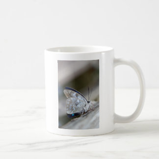 Blue Gray Butterfly Kaffeetasse