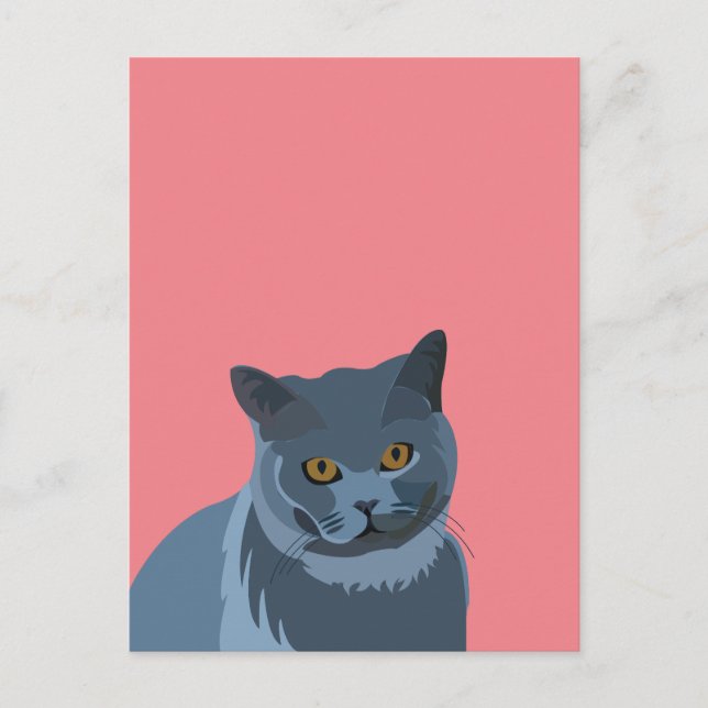 Blue Gray Cat Lover Postkarte (Vorderseite)
