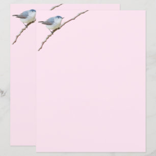 Blue-Gray Gnatcatcher Bird auf Pink Stationery