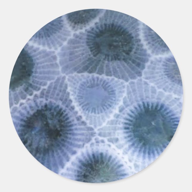 Blue Gray Petoskey Stone Stickers (Vorderseite)