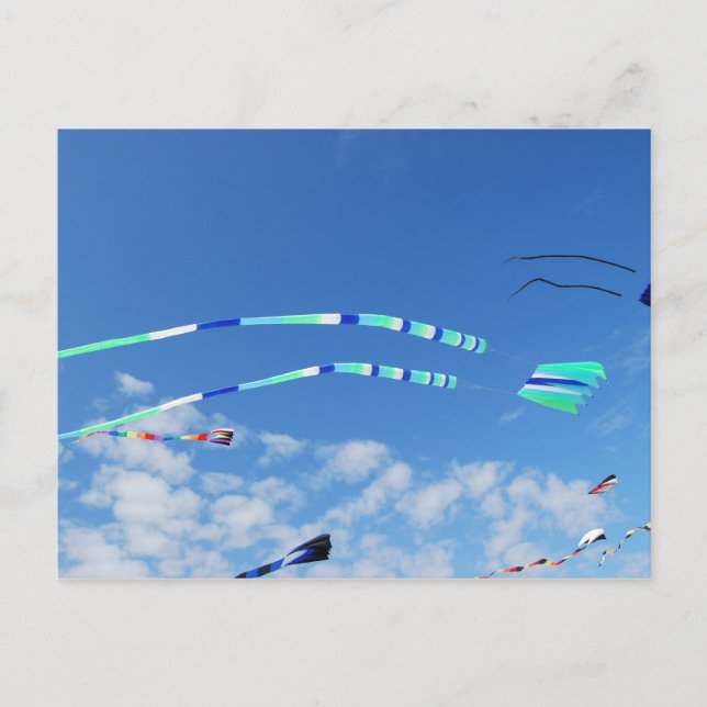 Blue Green Long Schwanz Kite Postkarte (Vorderseite)