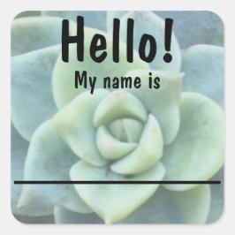 Blue Green Succulate Namensaufkleber Quadratischer Aufkleber