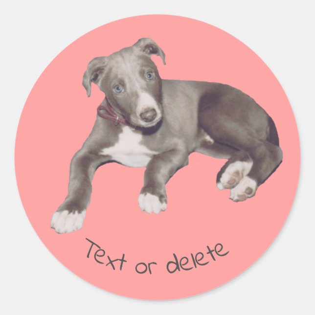 Blue Greyhound Puppy Personalisiert Runder Aufkleber (Vorderseite)