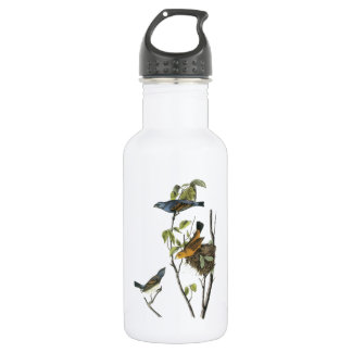 Blue Grosbeak von Audubon Trinkflasche