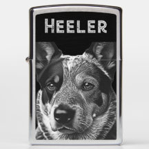 Blue Heeler Chien Heeler