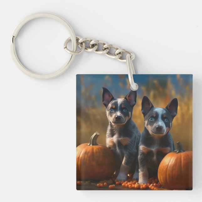 Blue Heeler Chiot Automne Citrouille de plaisir (Devant)