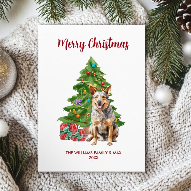 Blue Heeler Dog Familie Weihnachten (Von Creator hochgeladen)