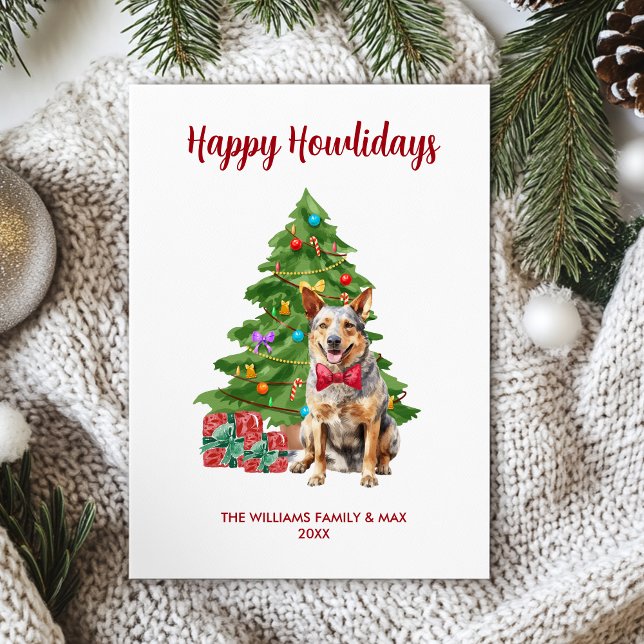 Blue Heeler Dog Familie Weihnachten (Von Creator hochgeladen)