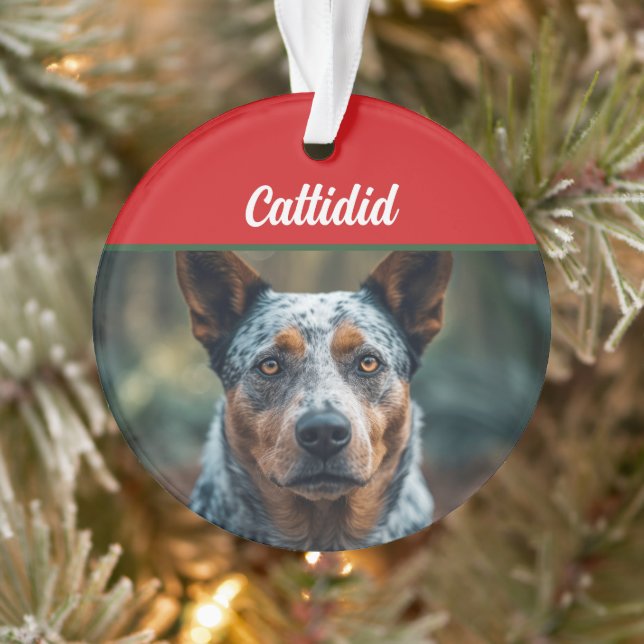 Blue Heeler Dog Holiday Foto Weihnachten Ornament (Baum)