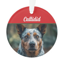 Blue Heeler Dog Holiday Foto Weihnachten
