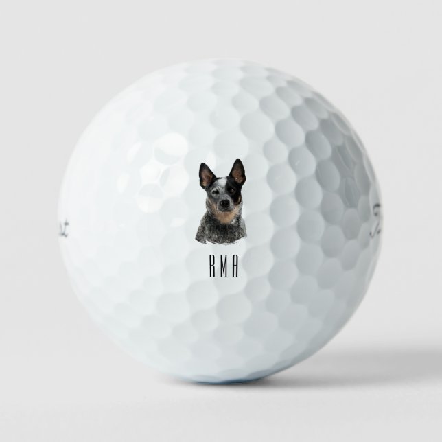 Blue Heeler Golfball (Vorderseite)
