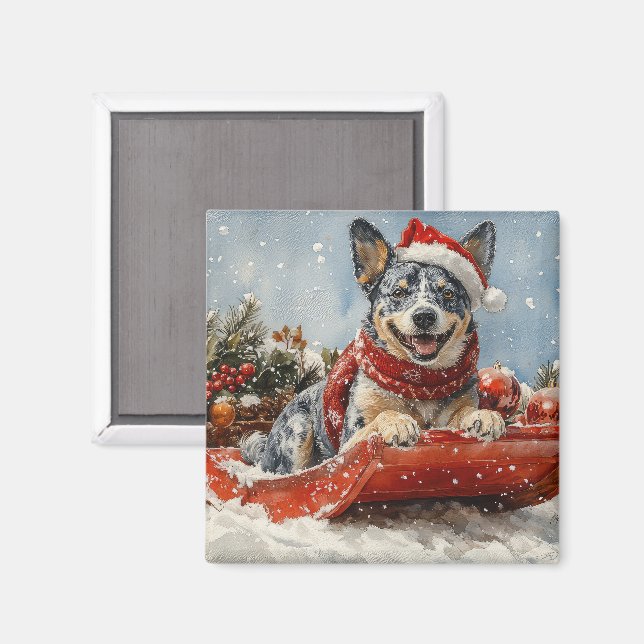Blue Heeler Hund in Sledge Lass es Schnee Weihnach Magnet (Vorderseite/Rückseite)