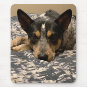 Blue Heeler Mousepad