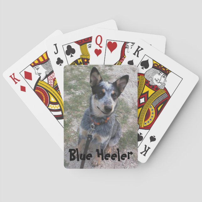 Blue Heeler Spielkartendeck Spielkarten (Rückseite)