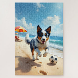 Blue Heeler Strand Sport Szene