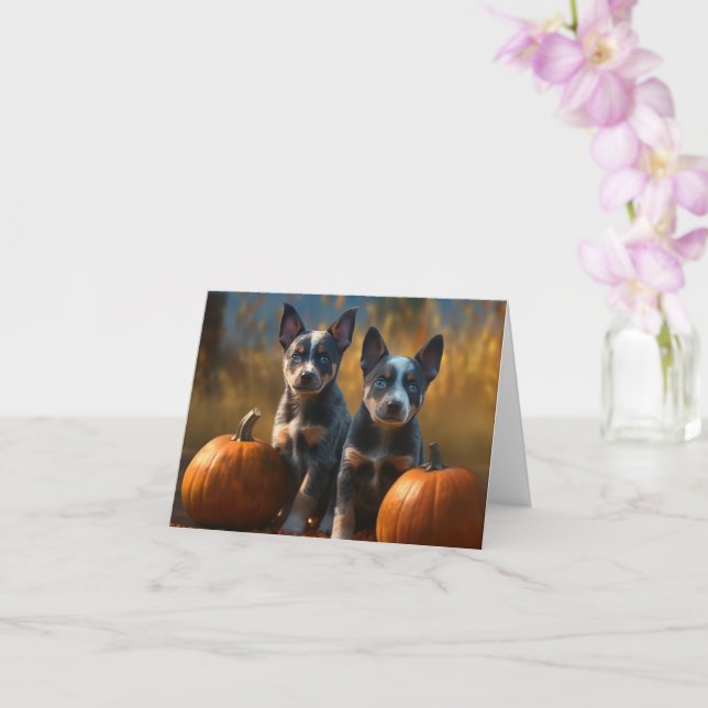 Blue Heeler Welpe Autumn Delight Pumpkin Karte (Orchidee)