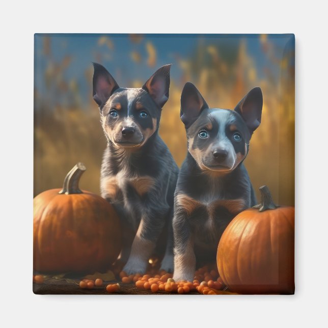 Blue Heeler Welpe Autumn Delight Pumpkin Magnet (Vorne)