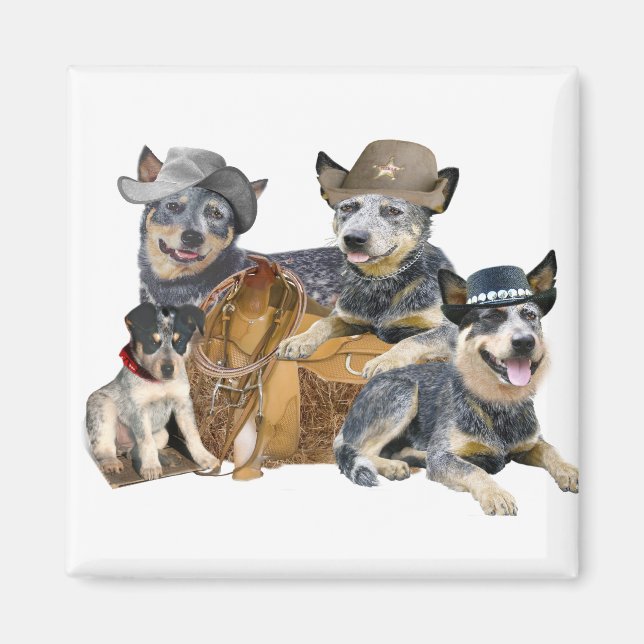 Blue Heeler's Go Western Magnets (Devant)