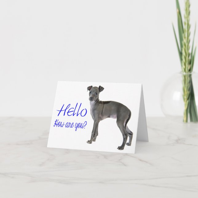 Blue Hello Greyhound Puppy Karte (Vorderseite)