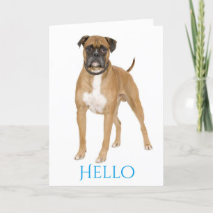 Blue Hello / Hi Boxer Puppy - Brown & White Dog Karte