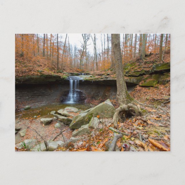 Blue Hen Falls, Cuyahoga Valley National Park, OH Postkarte (Vorderseite)