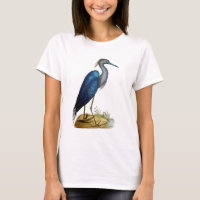 Blue Heron 3 2