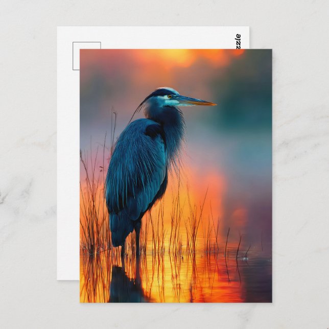 Blue Heron bei Sunrise Postkarte (Vorne/Hinten)