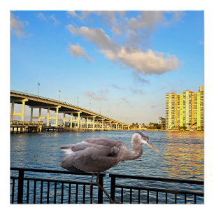 Blue Heron Bridge. Riviera Beach. Florida Poster