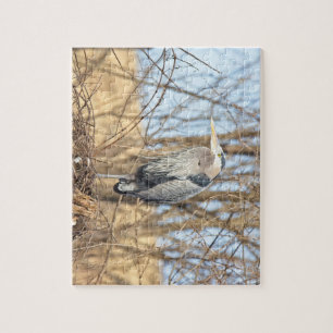 Blue Heron Horizontal