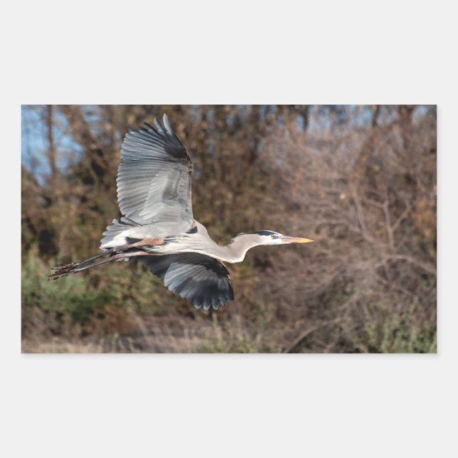 Blue Heron in Flug Rechteckiger Aufkleber (Vorderseite)