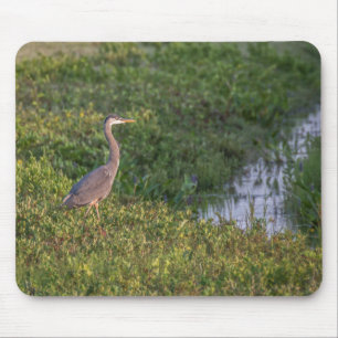 Blue Heron Mousepad