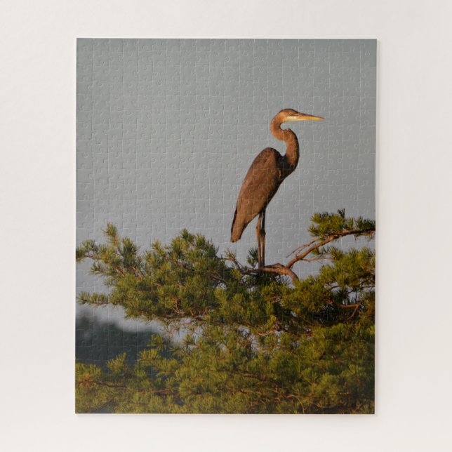 Blue Heron on Tree Oben (Vertikal)