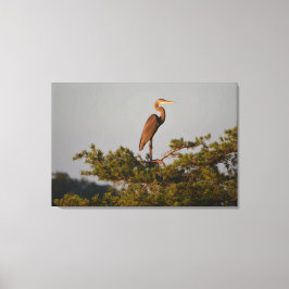 Blue Heron on Tree Oben Leinwanddruck