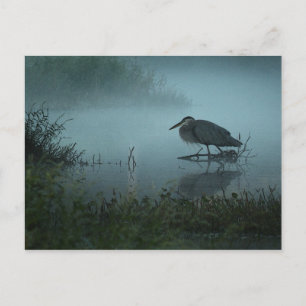 Blue Heron Postcard Postkarte