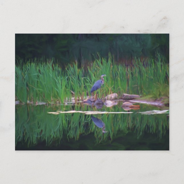 Blue Heron Reflections Animal Peinture Carte posta (Devant)