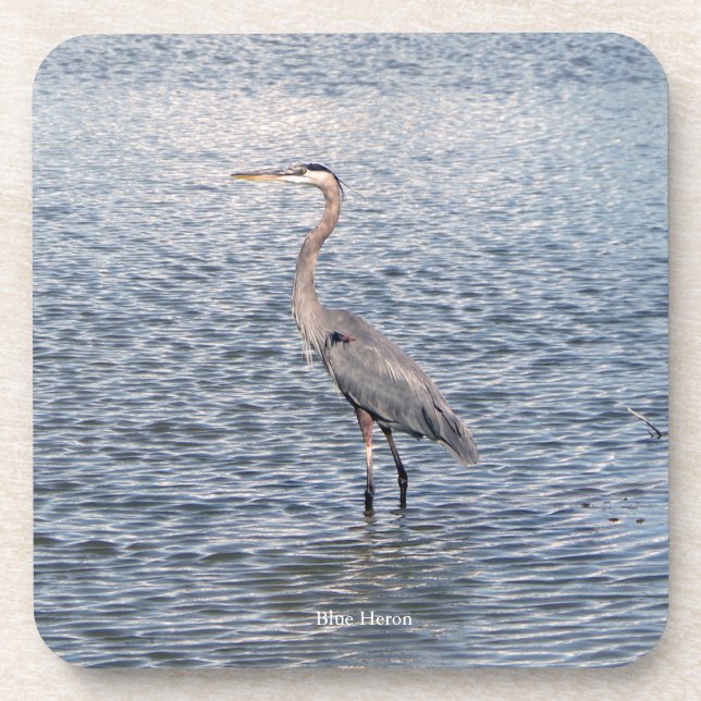 Blue Heron Water Set von 6 Untersetzer aus Kunstst (Vorderseite)