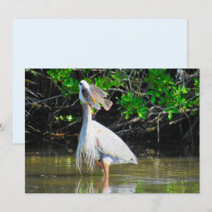 Blue Heron's Lunch-Karte
