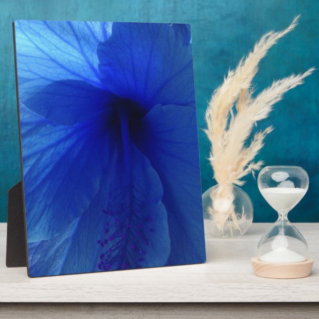 Blue Hibiskus Blume Fotoplatte (Seite)