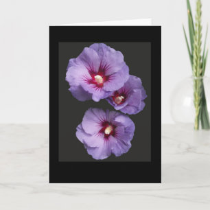 Blue Hibiskus Greetings Card Karte