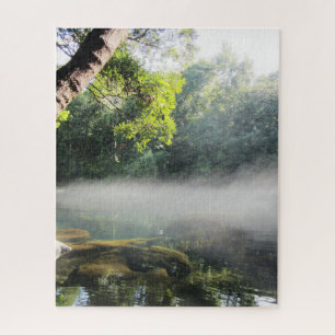 Blue Hole Springs Florida Foggy Morning