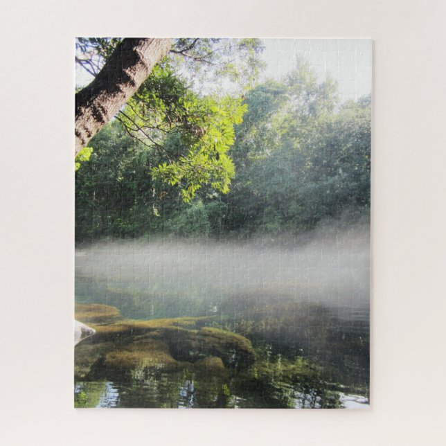 Blue Hole Springs Florida Foggy Morning (Vertikal)