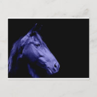 Blue Horse Design Postkarte