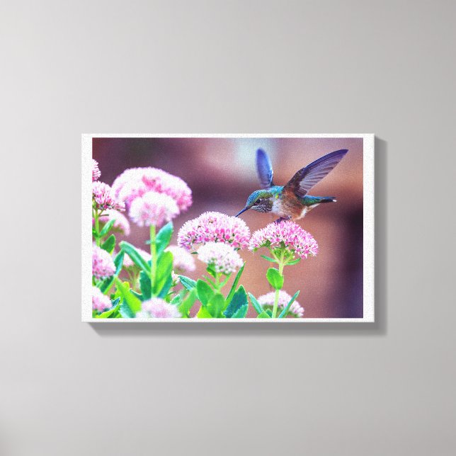 Blue Hummingbird Floral Stretched Canvas Print Leinwanddruck (Vorderseite)