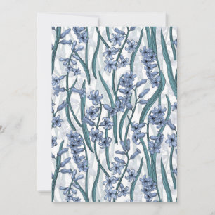 Blue Hyacinth Blume auf weiß