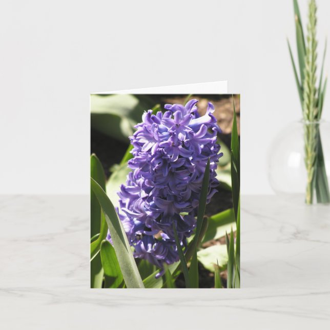 Blue Hyacinth Card Feiertagskarte (Vorderseite)