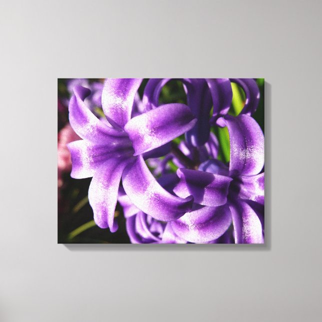 Blue Hyacinth I Spring Floral Leinwanddruck (Vorderseite)